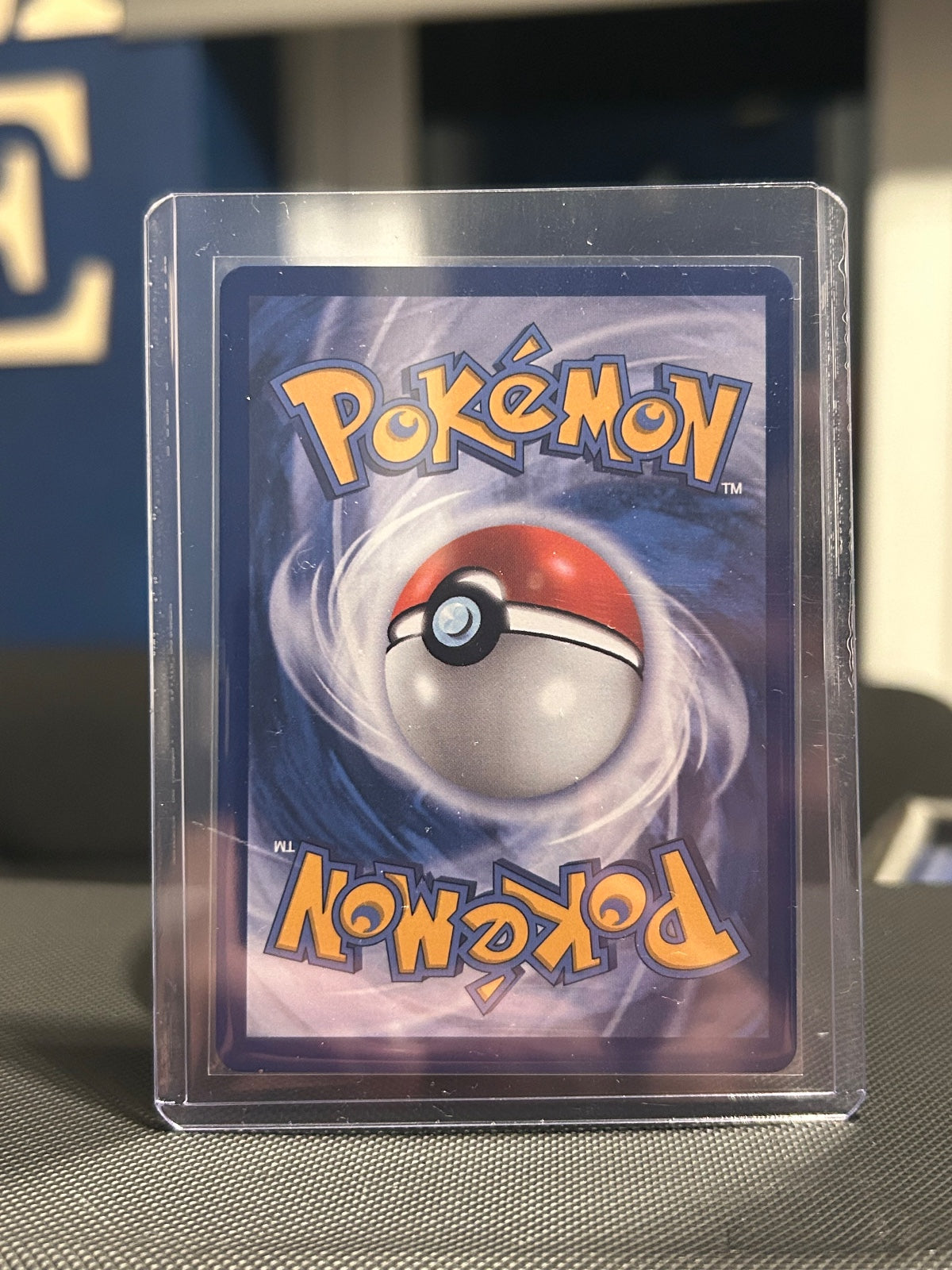 Turtwig - Holo Promo ME: Mega Evolution Promo 040 NM (Back)