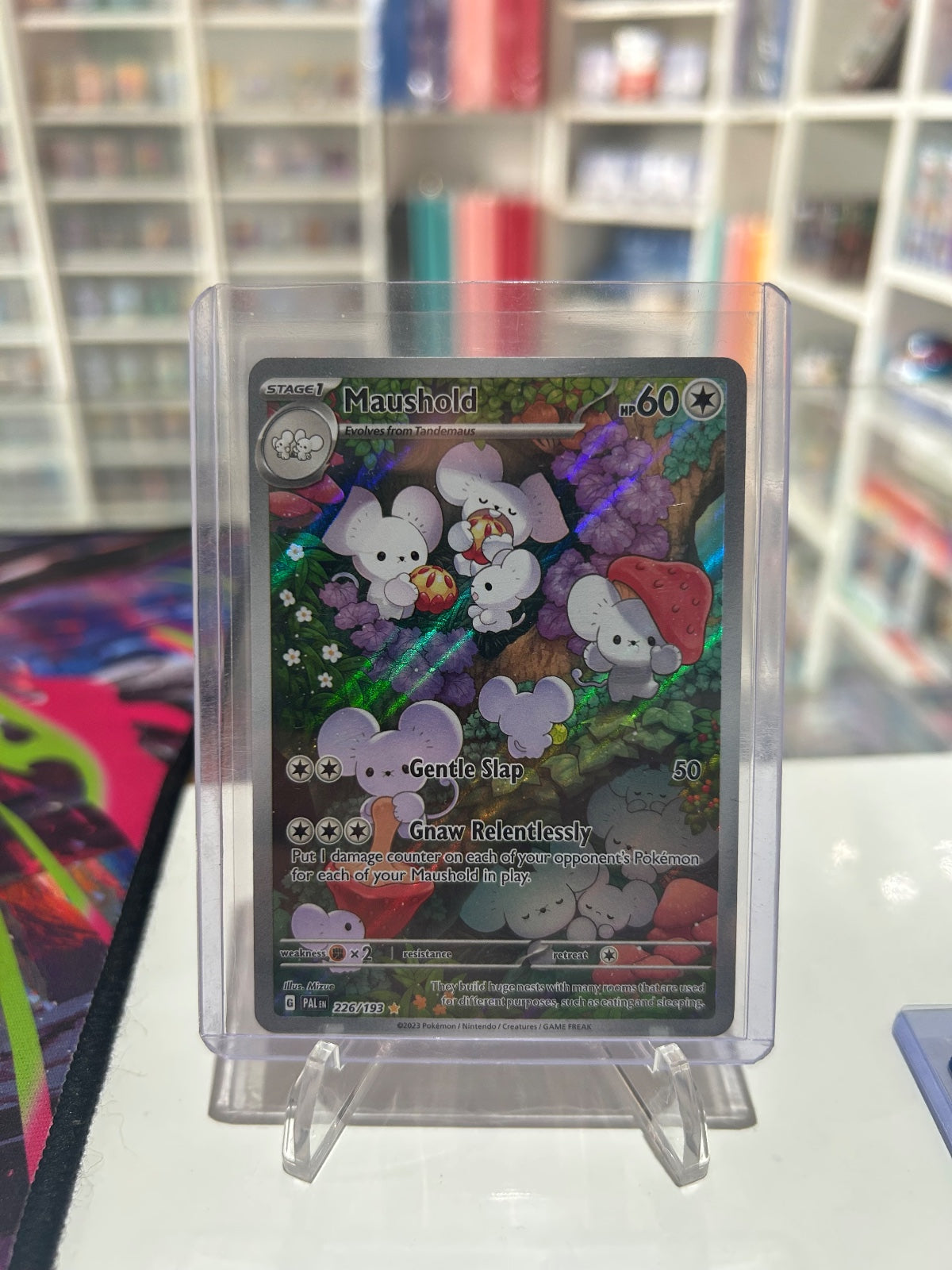 Maushold - Holo Illustration Rare SV02: Paldea Evolved 226/193 NM