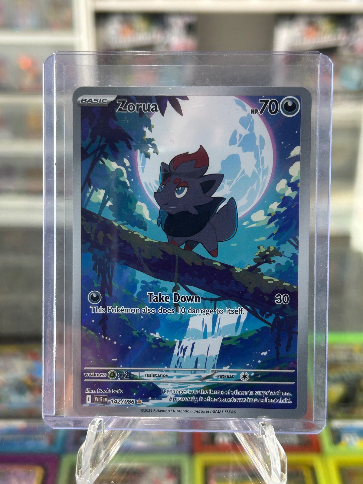 Zorua - Holo Illustration Rare SV: White Flare 142/086 NM