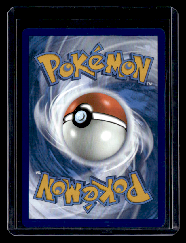 Lucario VSTAR Holo Promo SWSH Sword & Shield Promo Cards SWSH291 NM (Back)