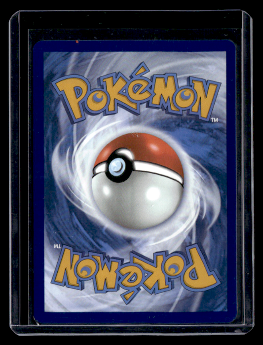 Riolu Holo Promo ME: Mega Evolution Promo 010 NM (Back)