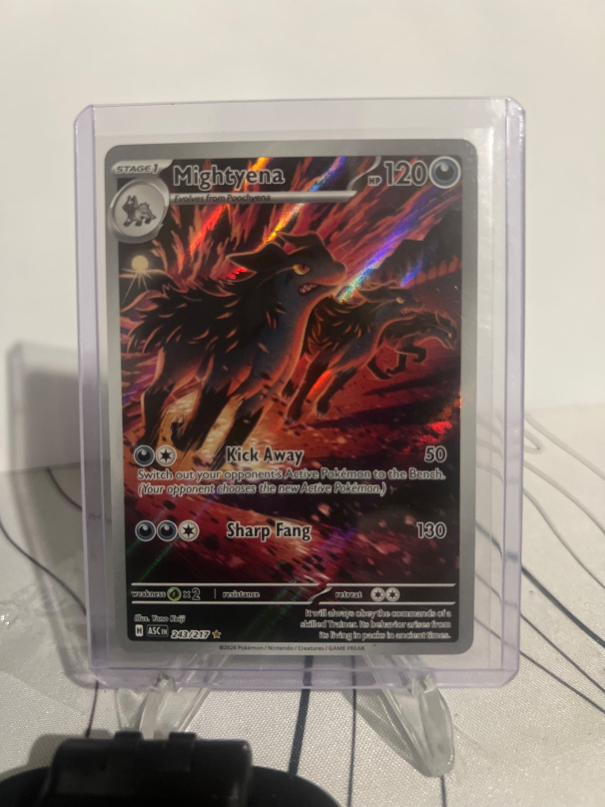 Mightyena Holo Illustration Rare ME Ascended Heroes 243/217 NM