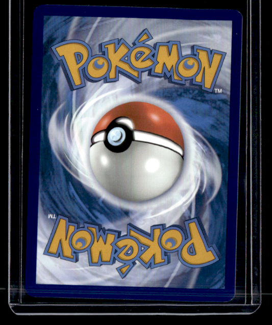 Raichu Holo Illustration Rare SV02: Paldea Evolved 211/193 NM (Back)