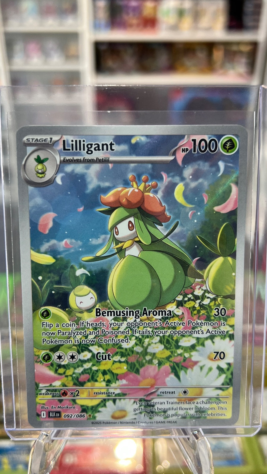 Lilligant Holo Illustration Rare SV: Black Bolt 092/086 NM