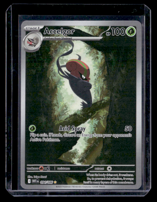 Accelgor Holo Illustration Rare SV: White Flare 094/086 NM