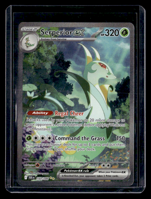 Serperior ex Holo Special Illustration Rare SV Black Bolt 164/086 NM