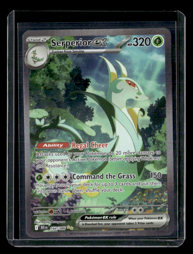 Serperior ex Holo Special Illustration Rare SV: Black Bolt 164/086 NM