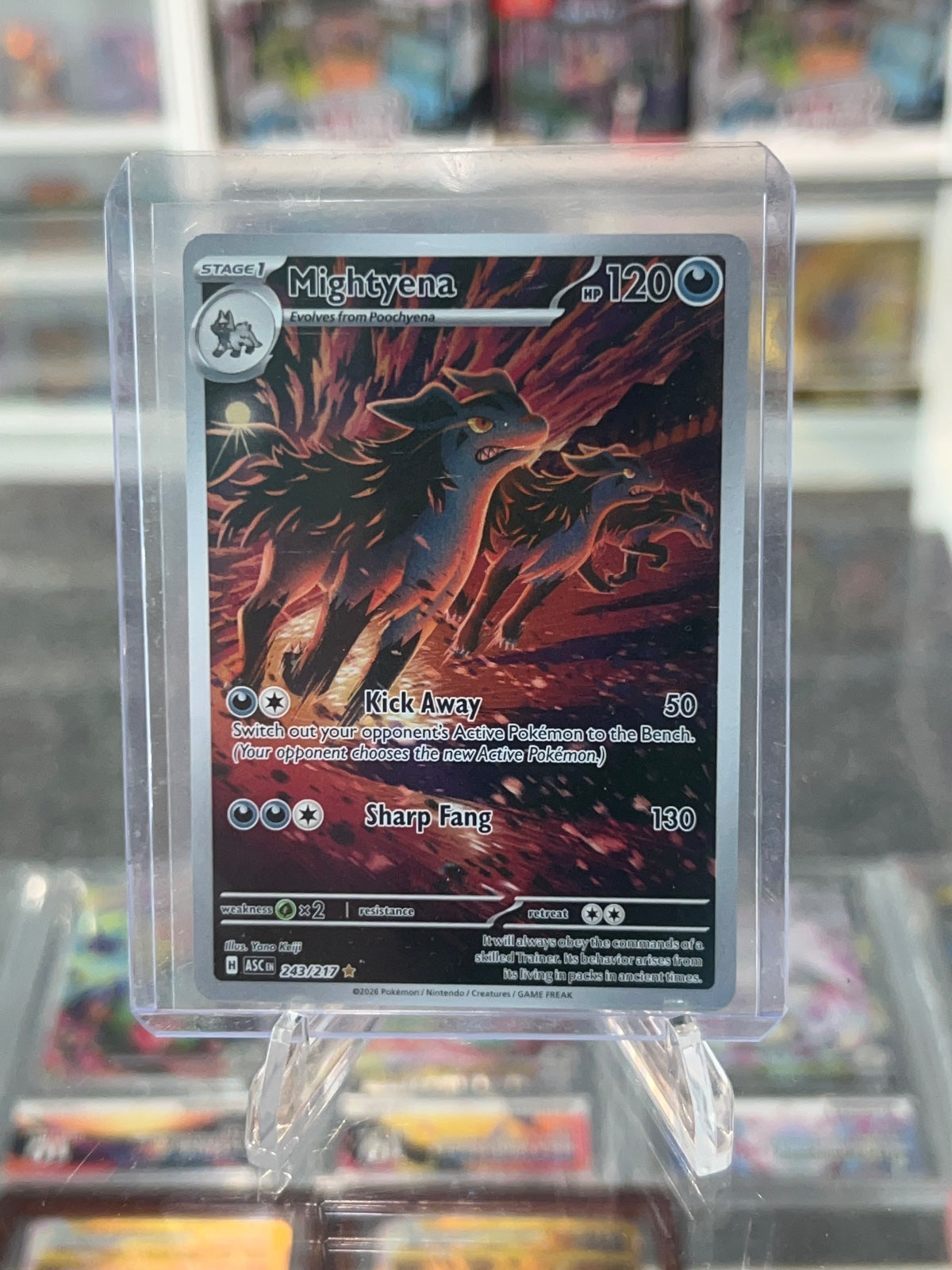 Mightyena - Holo Illustration Rare ME: Ascended Heroes 243/217 NM
