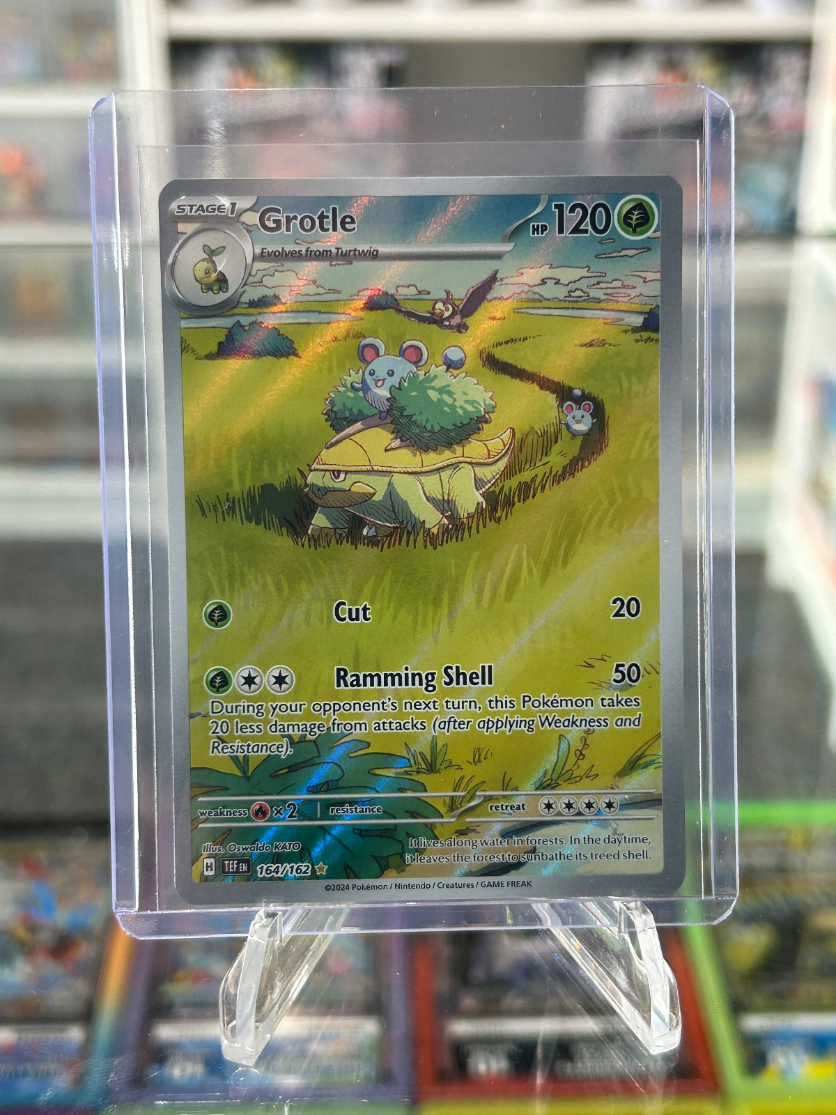 Grotle - Holo Illustration Rare SV05: Temporal Forces 164/162 NM