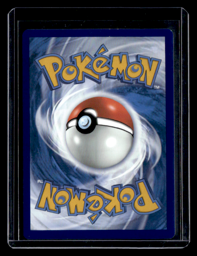 Gengar (Prerelease) Holo Promo SWSH: Sword & Shield Promo Cards SWSH241 NM (Back)