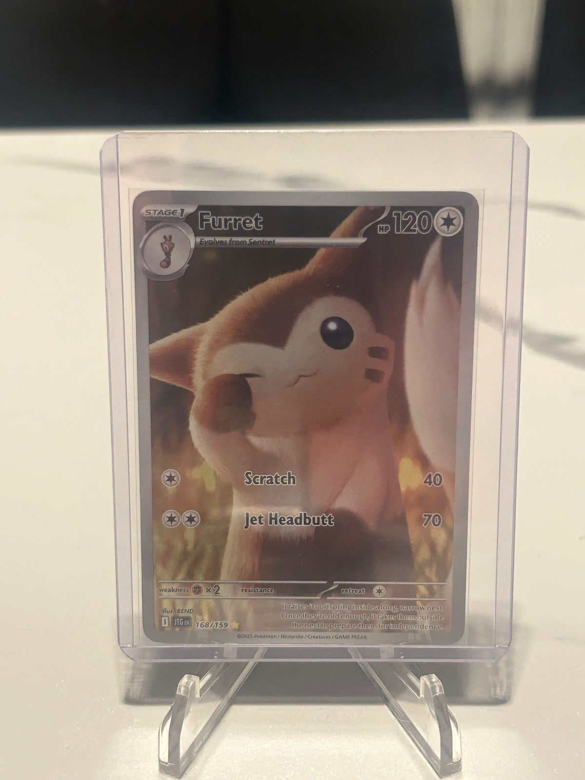 Furret Holo Illustration Rare SV09: Journey Together 168/159 NM