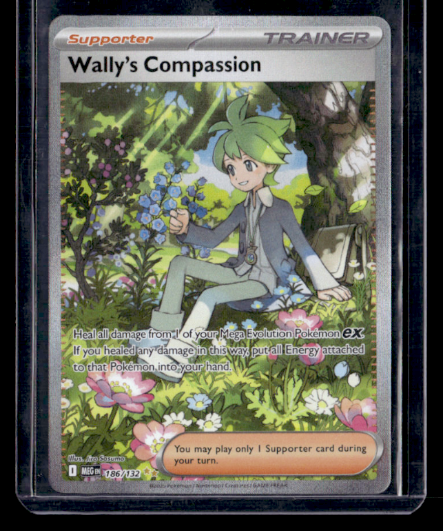 Wally's Compassion Special Illustration Rare ME01: Mega Evolution 186/132 NM