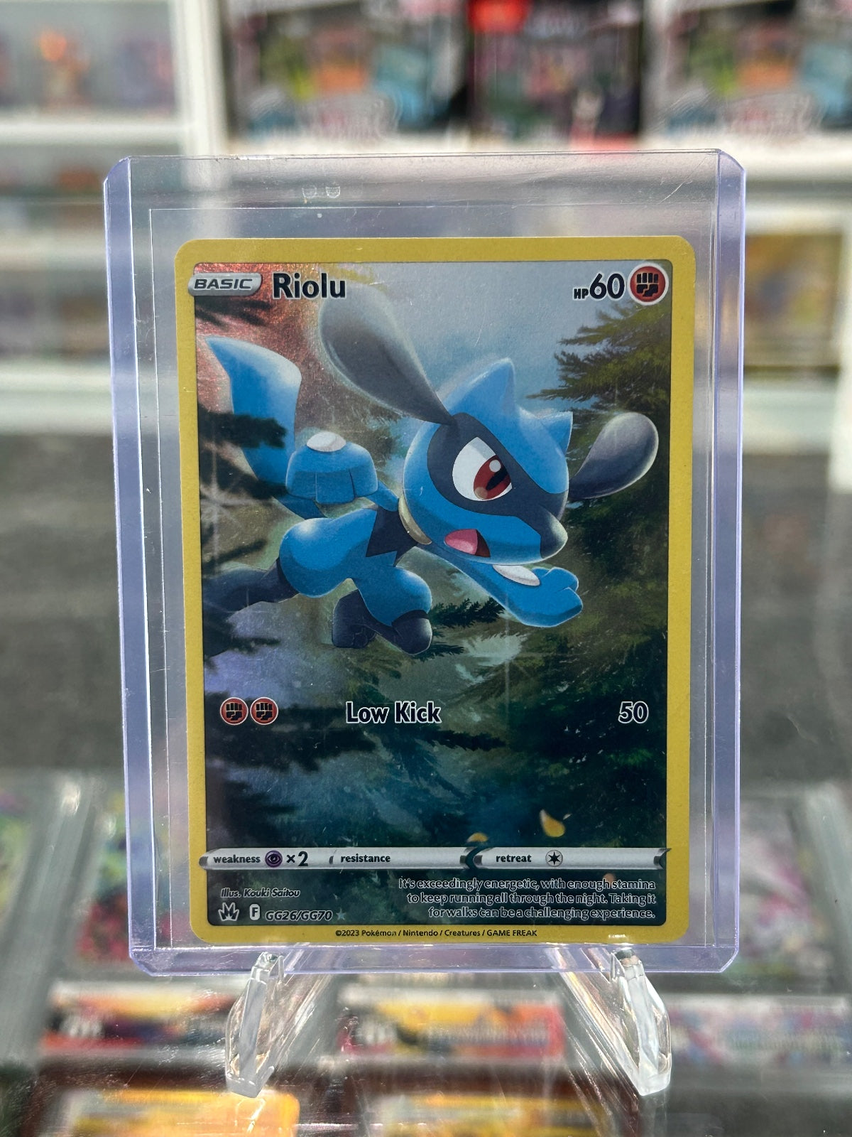 Riolu Holo Ultra Rare SWSH: Crown Zenith: Galarian Gallery GG26/GG70 NM