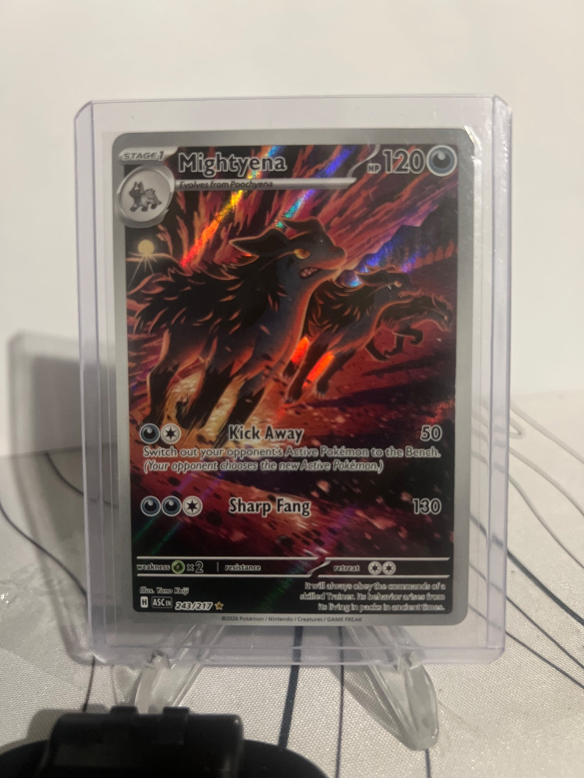 Mightyena Holo Illustration Rare ME Ascended Heroes 243/217 NM