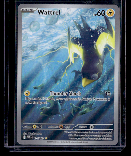 Wattrel Holo Illustration Rare SV06: Twilight Masquerade 178/167 NM