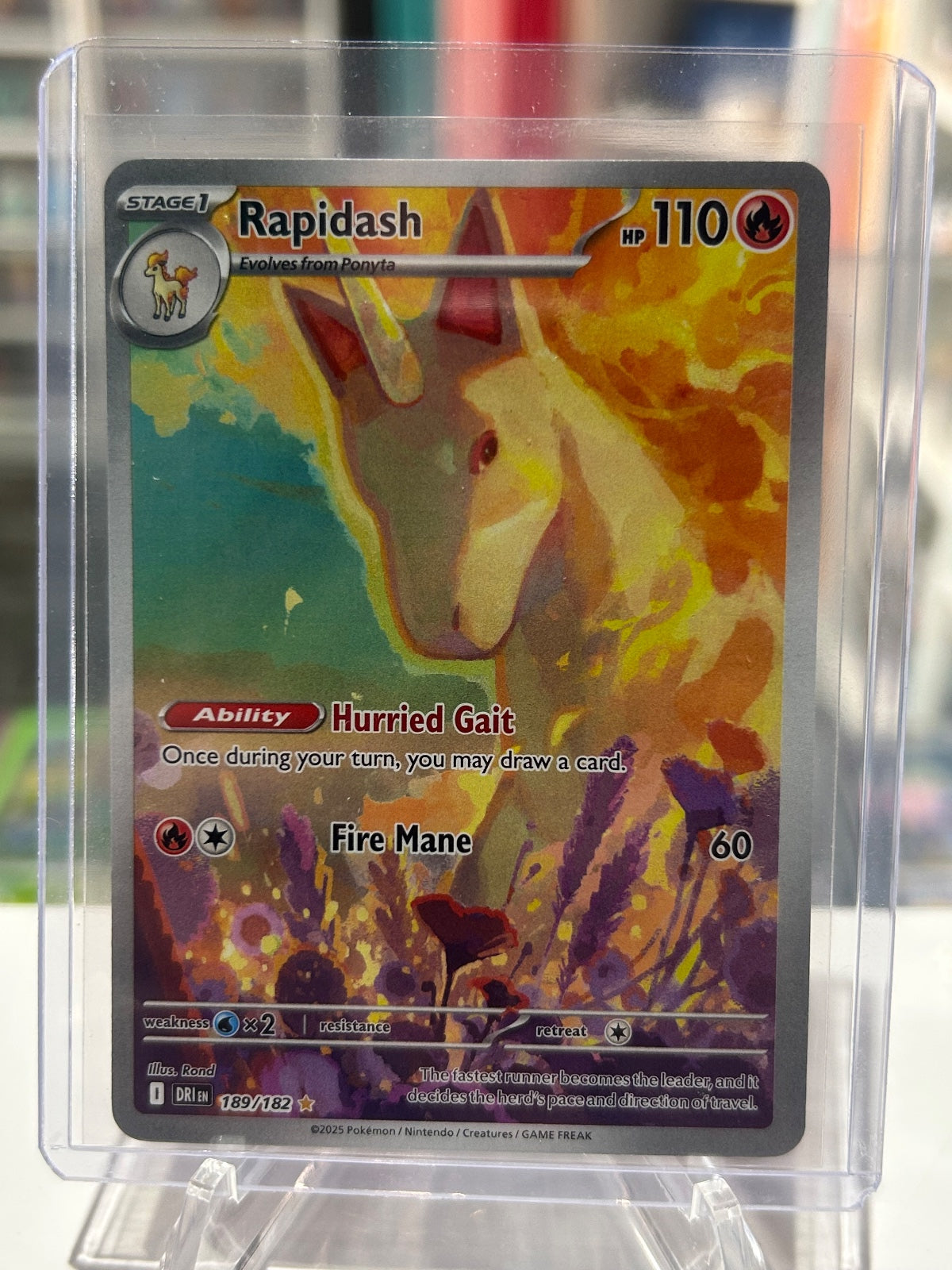 Rapidash - Holo Illustration Rare SV10: Destined Rivals 189/182 NM