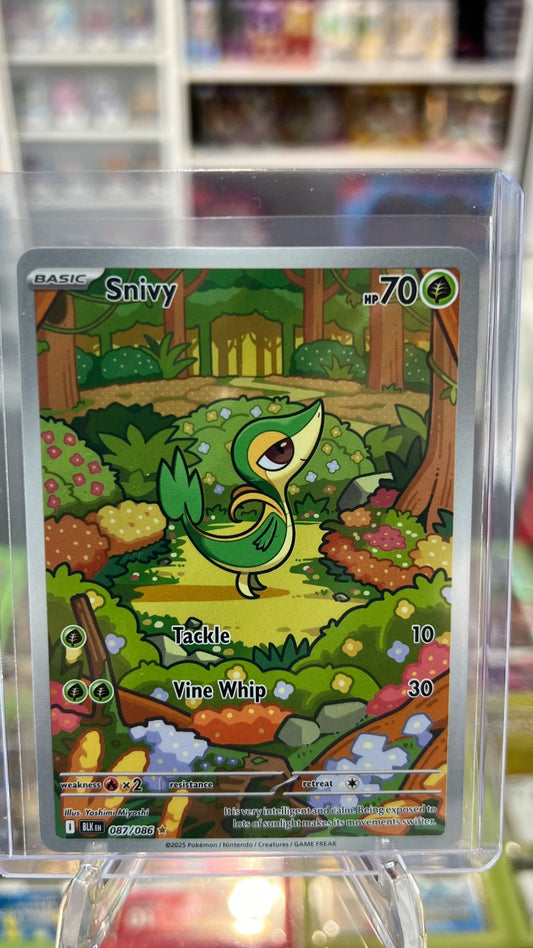 Snivy Holo Illustration Rare SV: Black Bolt 087/086 NM