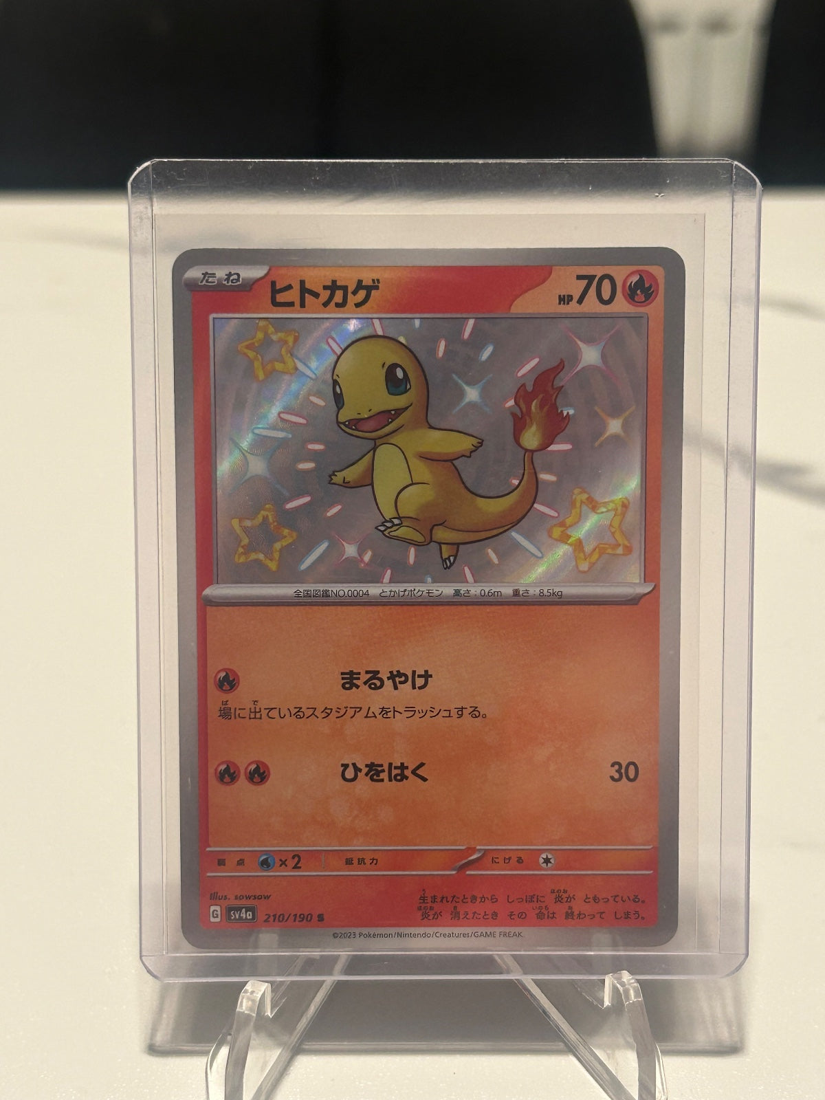 Charmander Holo Shiny Rare SV4a: Shiny Treasure ex 210/190 NM