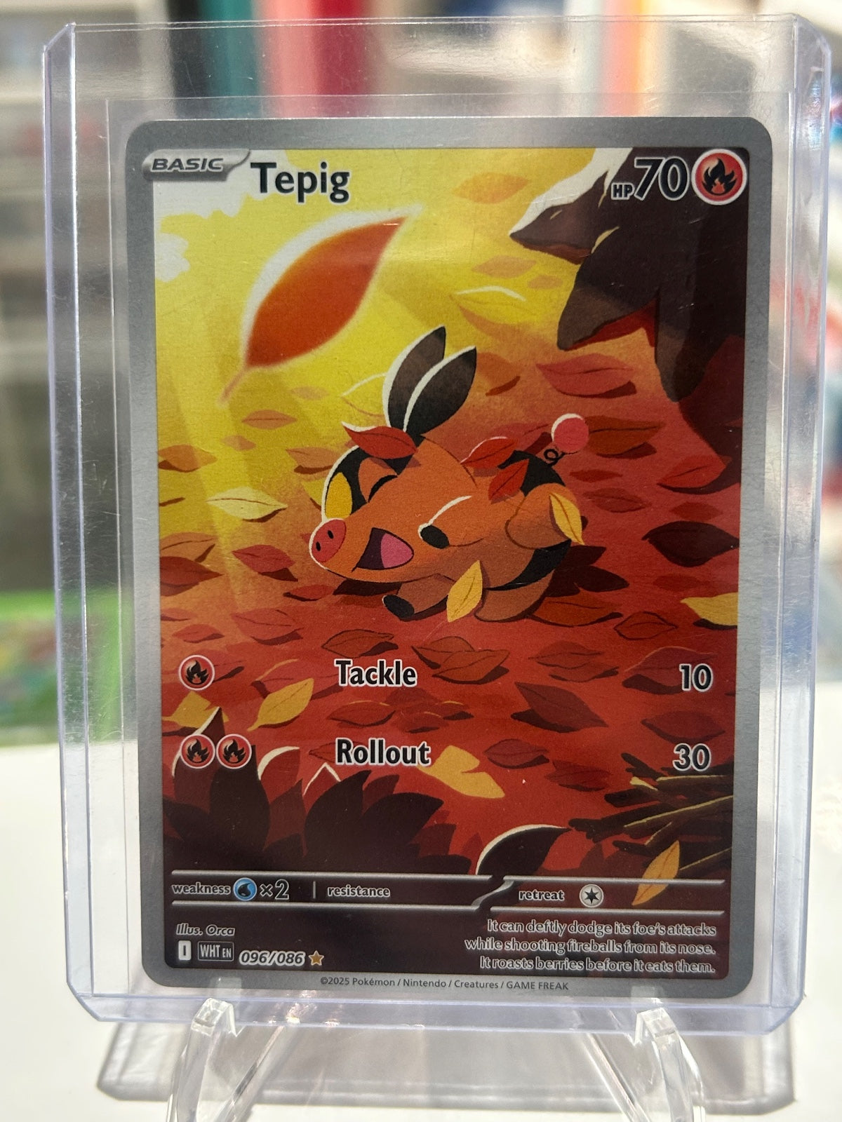 Tepig Holo Illustration Rare SV: White Flare 096/086 NM