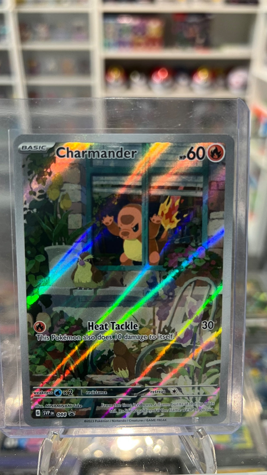 Charmander - Holo Promo SV: Scarlet & Violet Promo Cards 044 NM