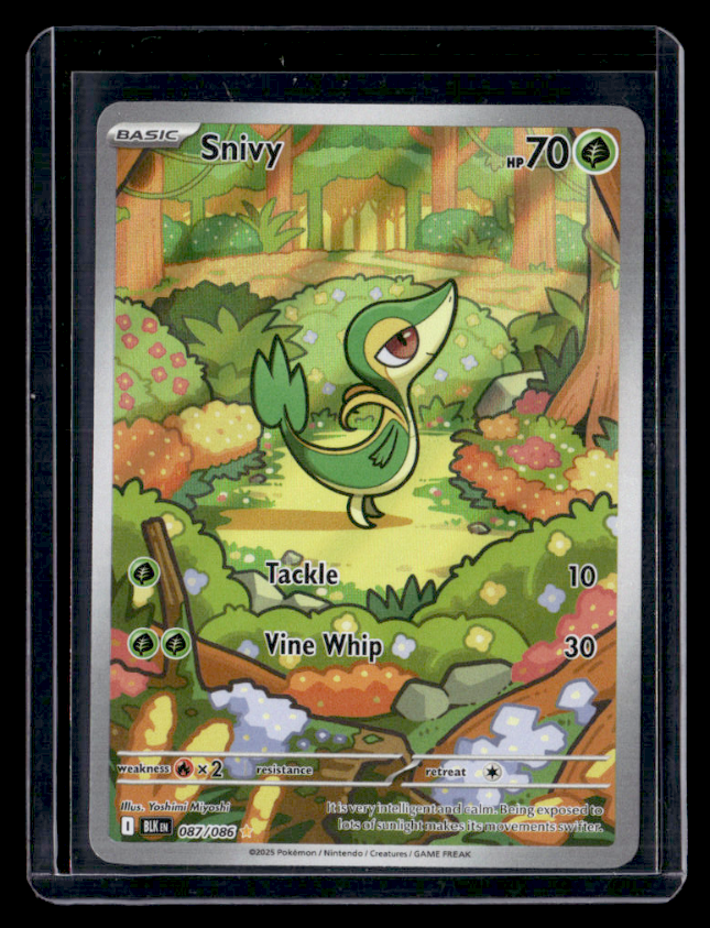 Snivy Holo Illustration Rare SV Black Bolt 087/086 NM