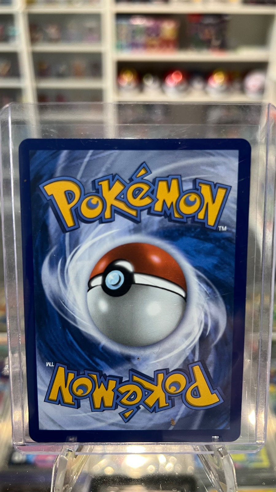 Chikorita - Holo Promo ME: Mega Evolution Promo 046 NM (Back)