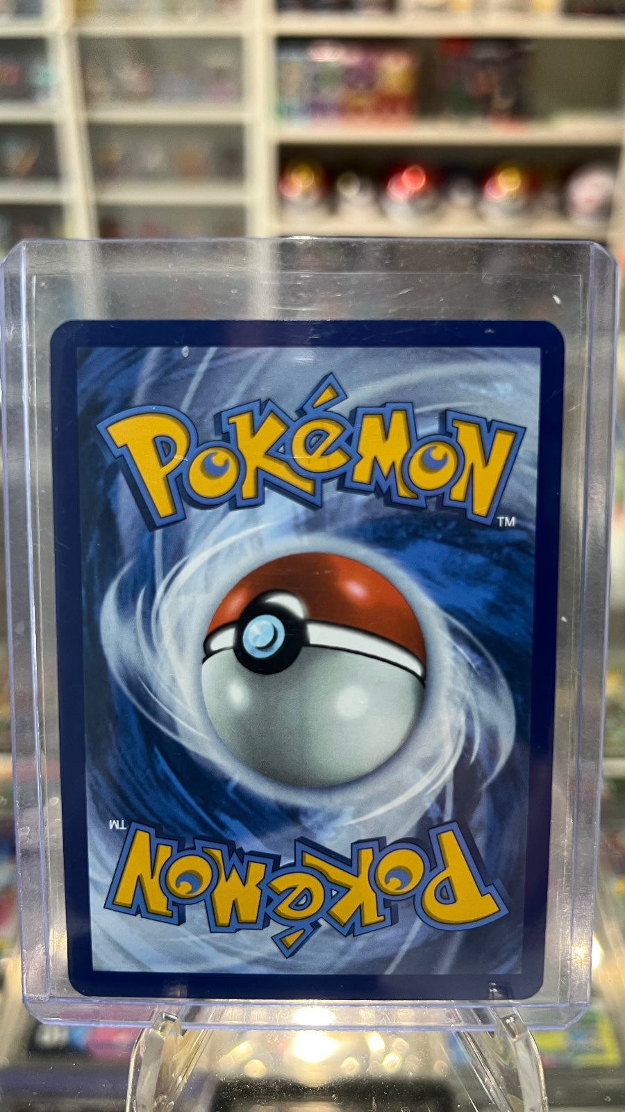 Sandile - Holo Illustration Rare SV: Black Bolt 135/086 NM (Back)