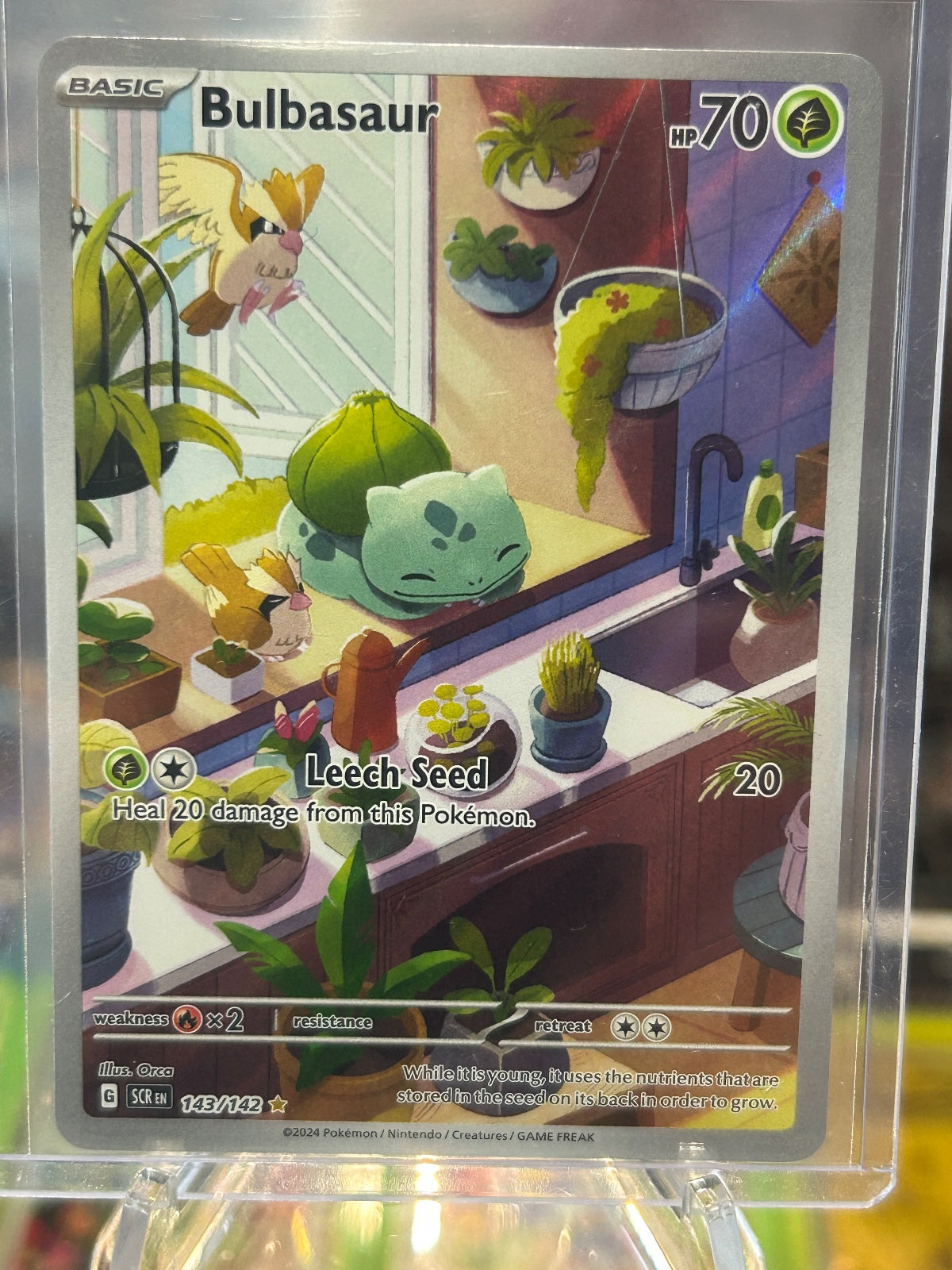 Bulbasaur Holo Illustration Rare SV07: Stellar Crown 143/142 NM