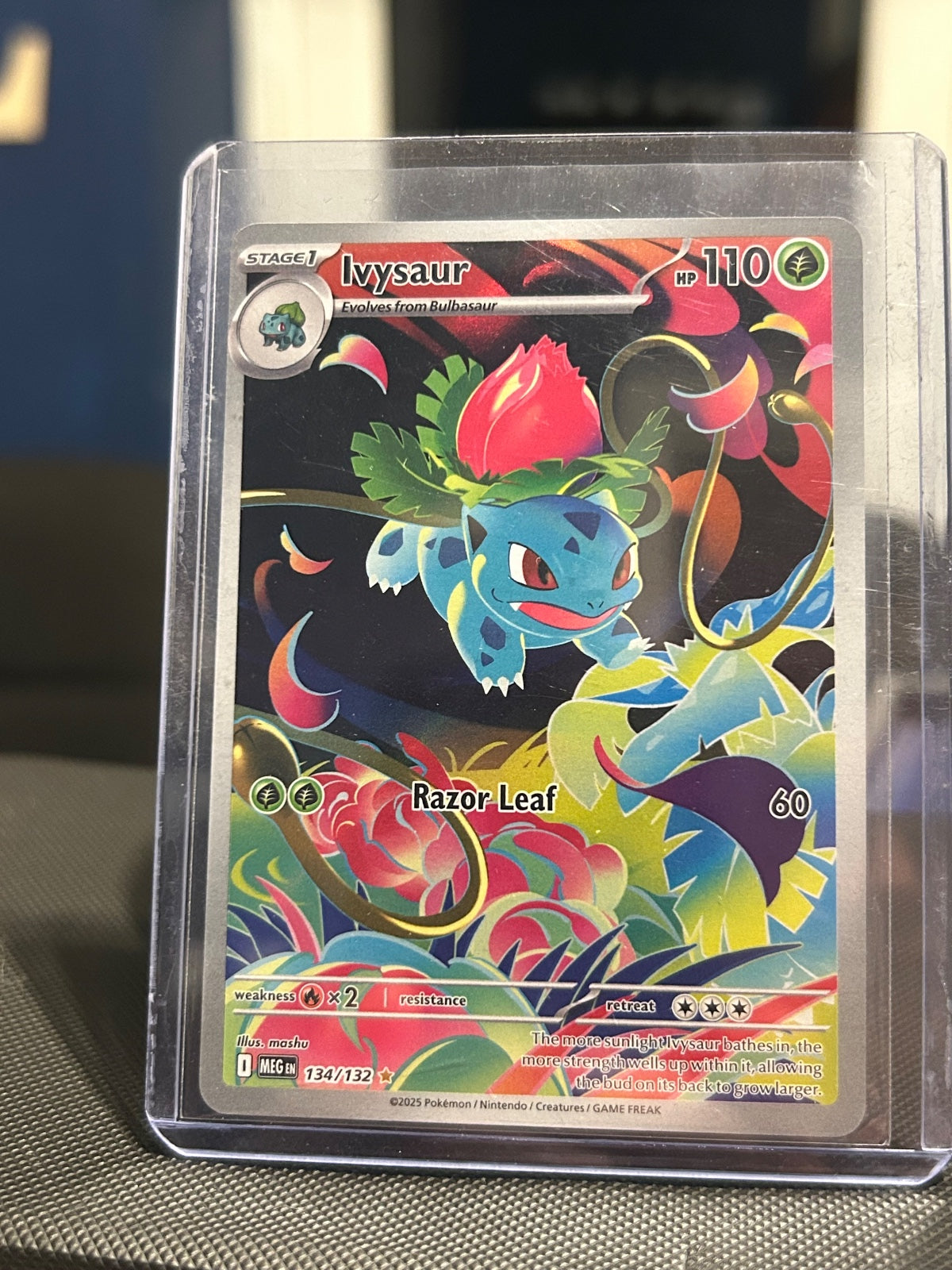 Ivysaur Holo Illustration Rare ME01: Mega Evolution 134/132 NM