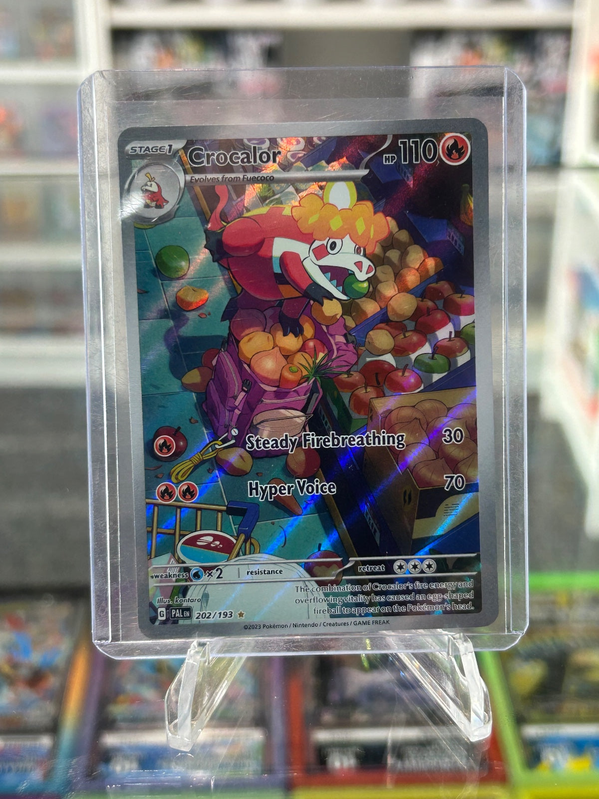 Crocalor - Holo Illustration Rare SV02: Paldea Evolved 202/193 NM