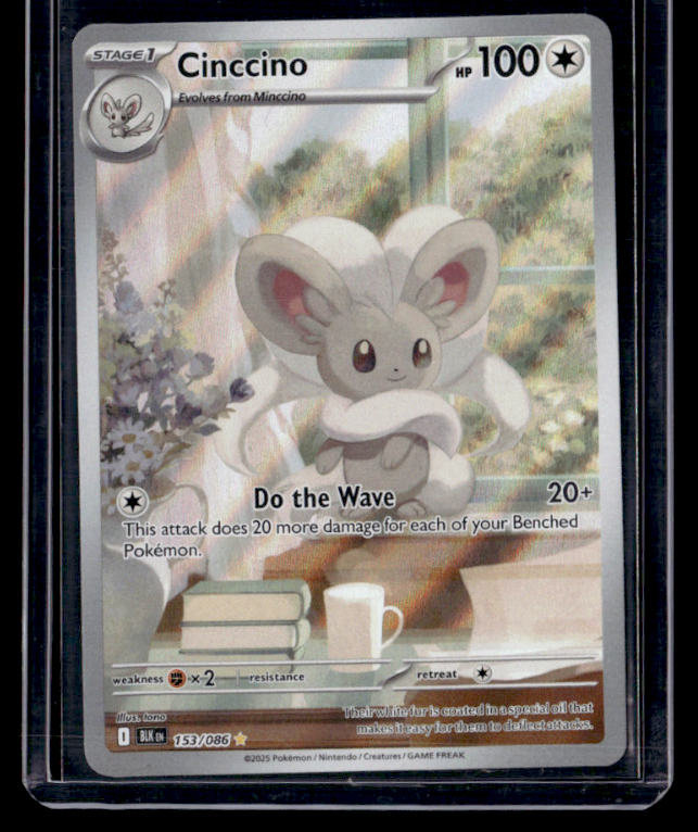 Cinccino Holo Illustration Rare SV Black Bolt 153/086 NM