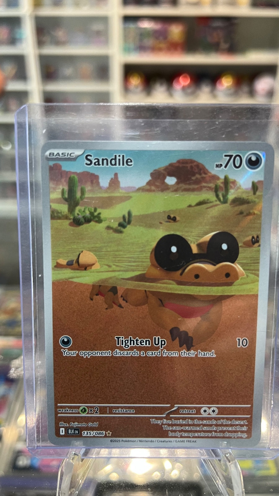 Sandile - Holo Illustration Rare SV: Black Bolt 135/086 NM