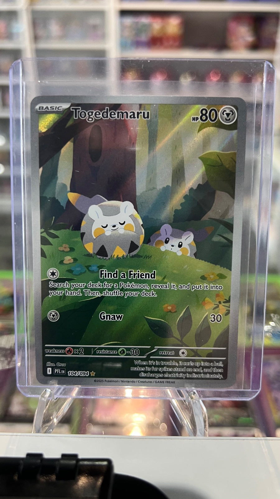 Togedemaru - Holo Illustration Rare ME02: Phantasmal Flames 104/094 NM