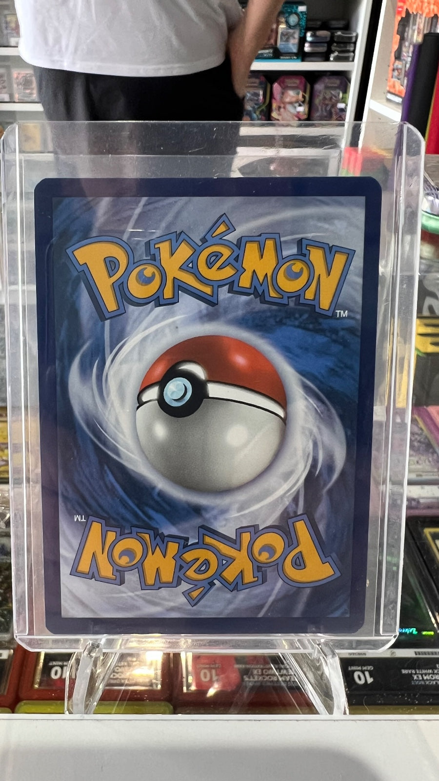 Minccino - Holo Illustration Rare SV05: Temporal Forces 182/162 NM (Back)