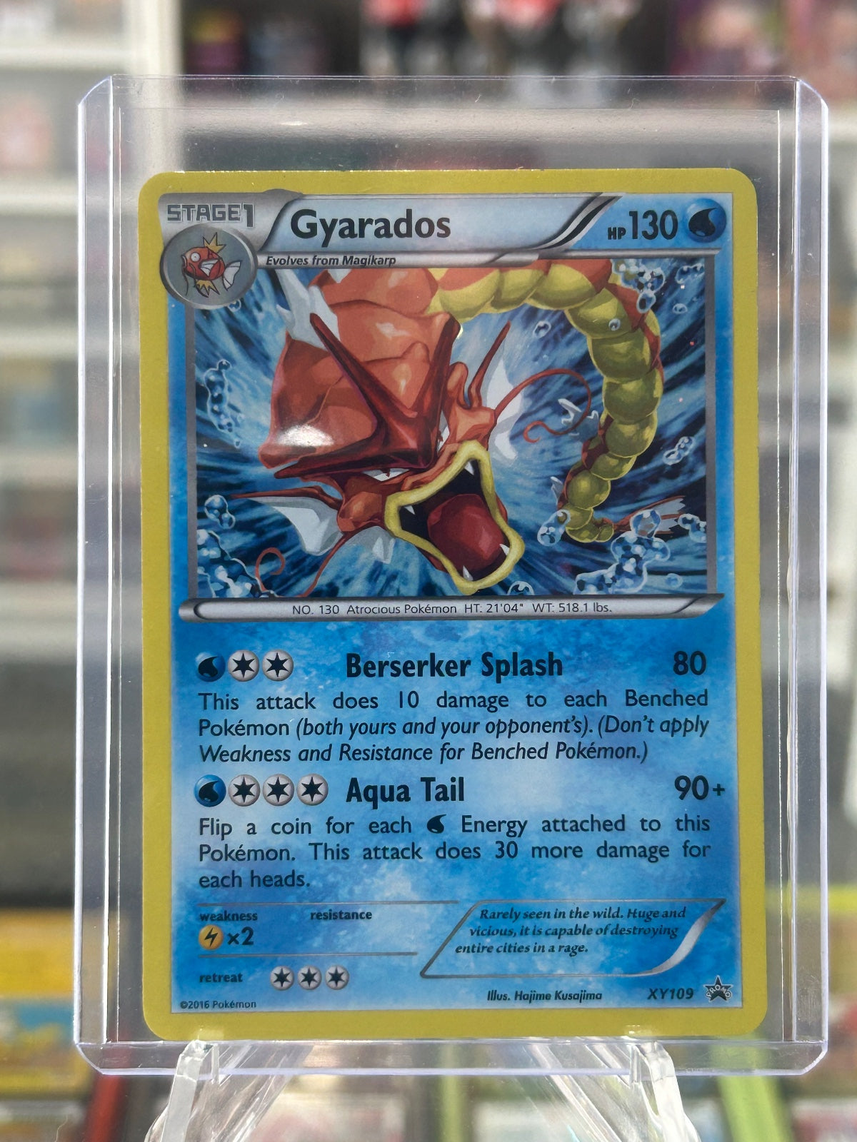Gyarados Holo Promo XY Promos XY109 LP
