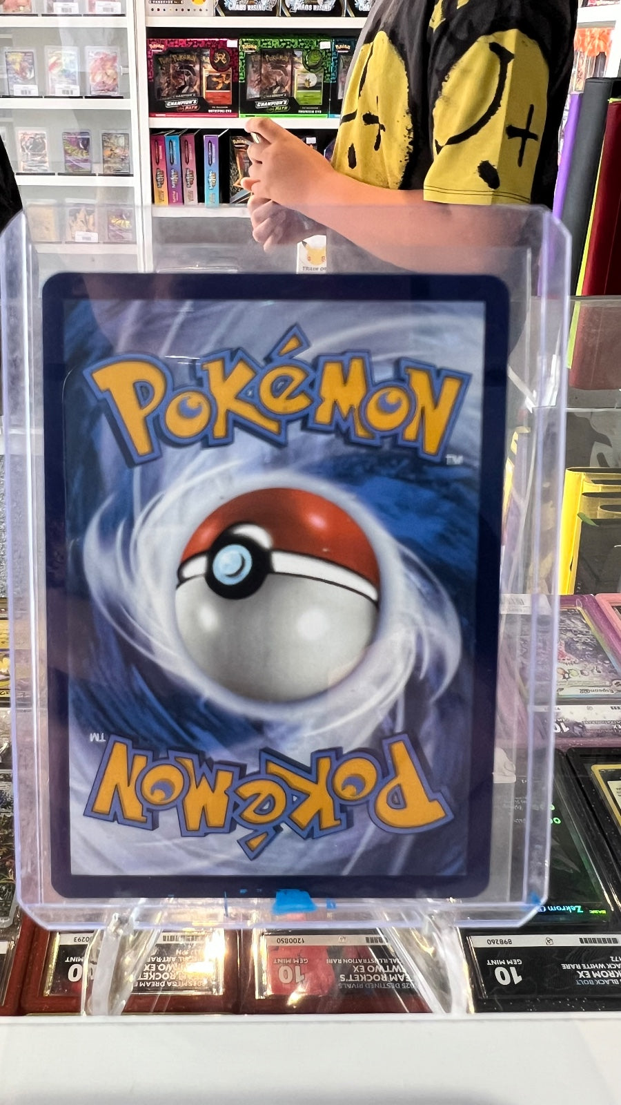 Team Rocket's Wobbuffet Holo Promo SV: Scarlet & Violet Promo Cards 203 NM (Back)