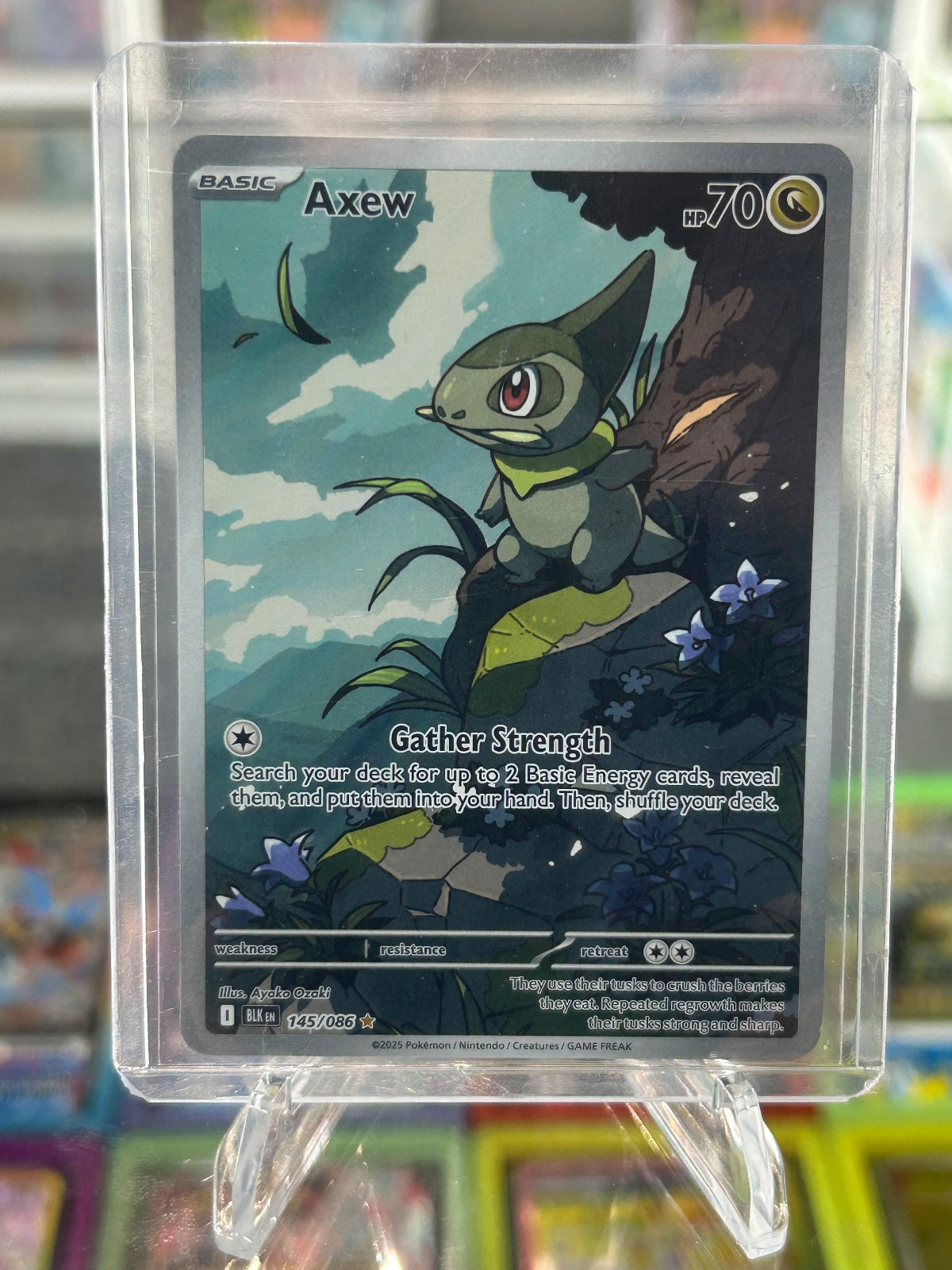 Axew Holo Illustration Rare SV: Black Bolt 145/086 NM
