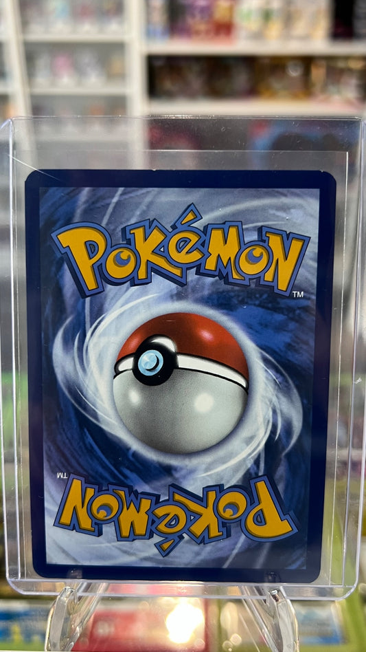 Swoobat Holo Illustration Rare SV: White Flare 120/086 NM (Back)