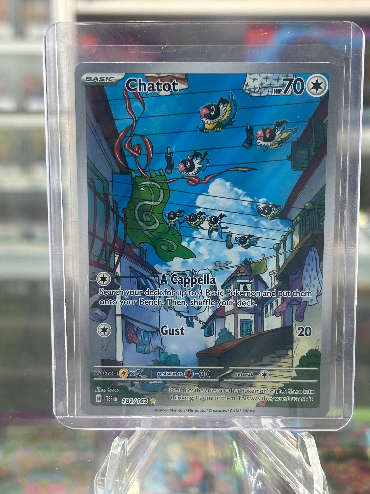 Chatot - Holo Illustration Rare SV05: Temporal Forces 181/162 NM