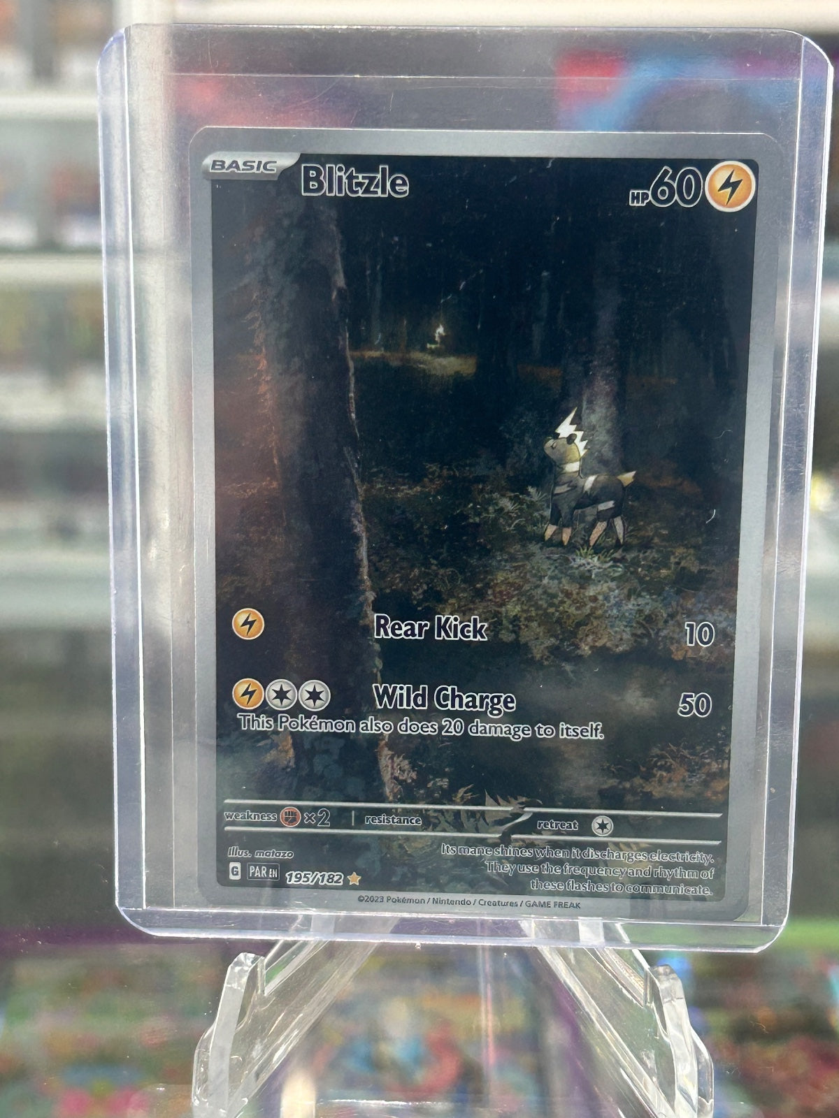 Blitzle Holo Illustration Rare SV04: Paradox Rift 195/182 NM