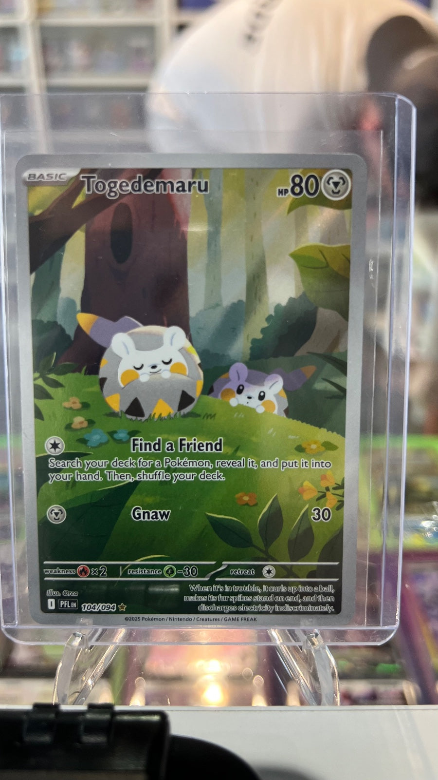 Togedemaru - Holo Illustration Rare ME02: Phantasmal Flames 104/094 NM