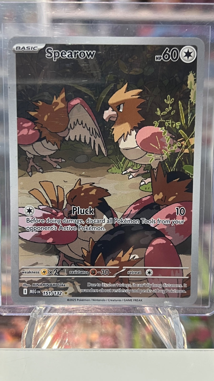 Spearow - Holo Illustration Rare ME01: Mega Evolution 151/132 NM