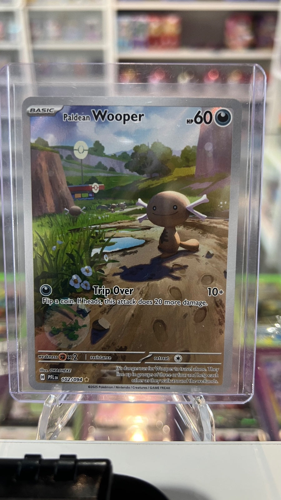 Paldean Wooper Holo Illustration Rare ME02: Phantasmal Flames 102/094 NM