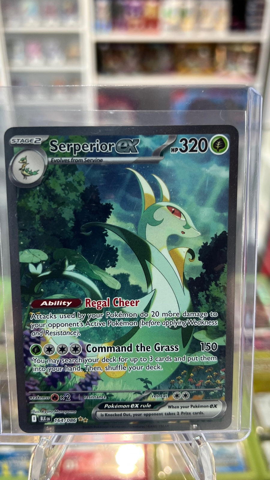 Serperior ex Holo Special Illustration Rare SV: Black Bolt 164/086 NM