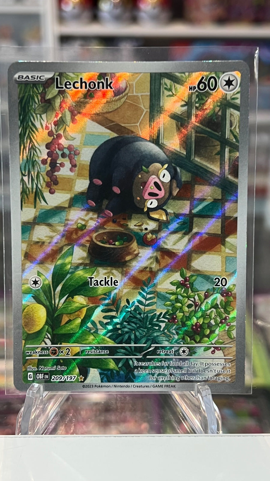 Lechonk Holo Illustration Rare SV03: Obsidian Flames 209/197 NM