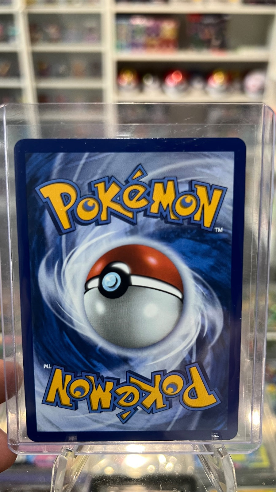 Totodile - Holo Promo ME: Mega Evolution Promo 048 NM (Back)