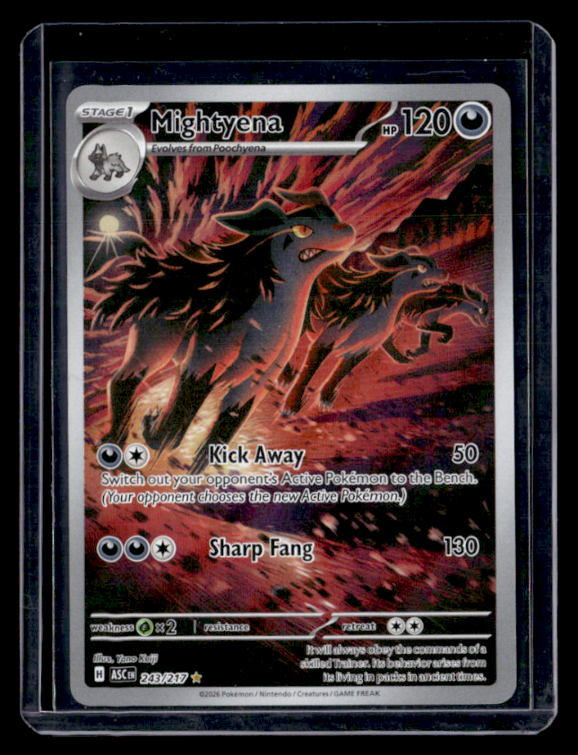 Mightyena Holo Illustration Rare ME: Ascended Heroes 243/217 NM