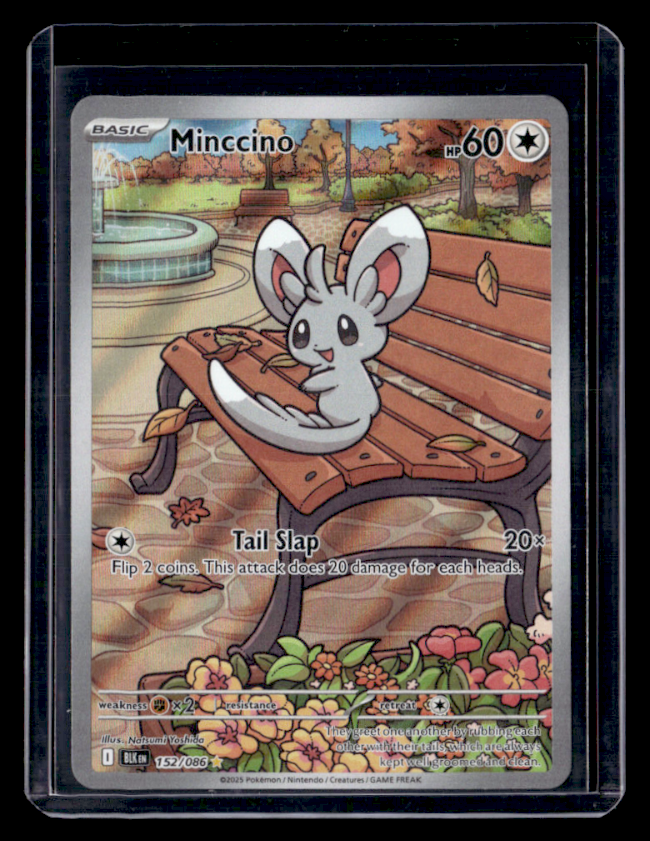 Minccino Holo Illustration Rare SV Black Bolt 152/086 NM