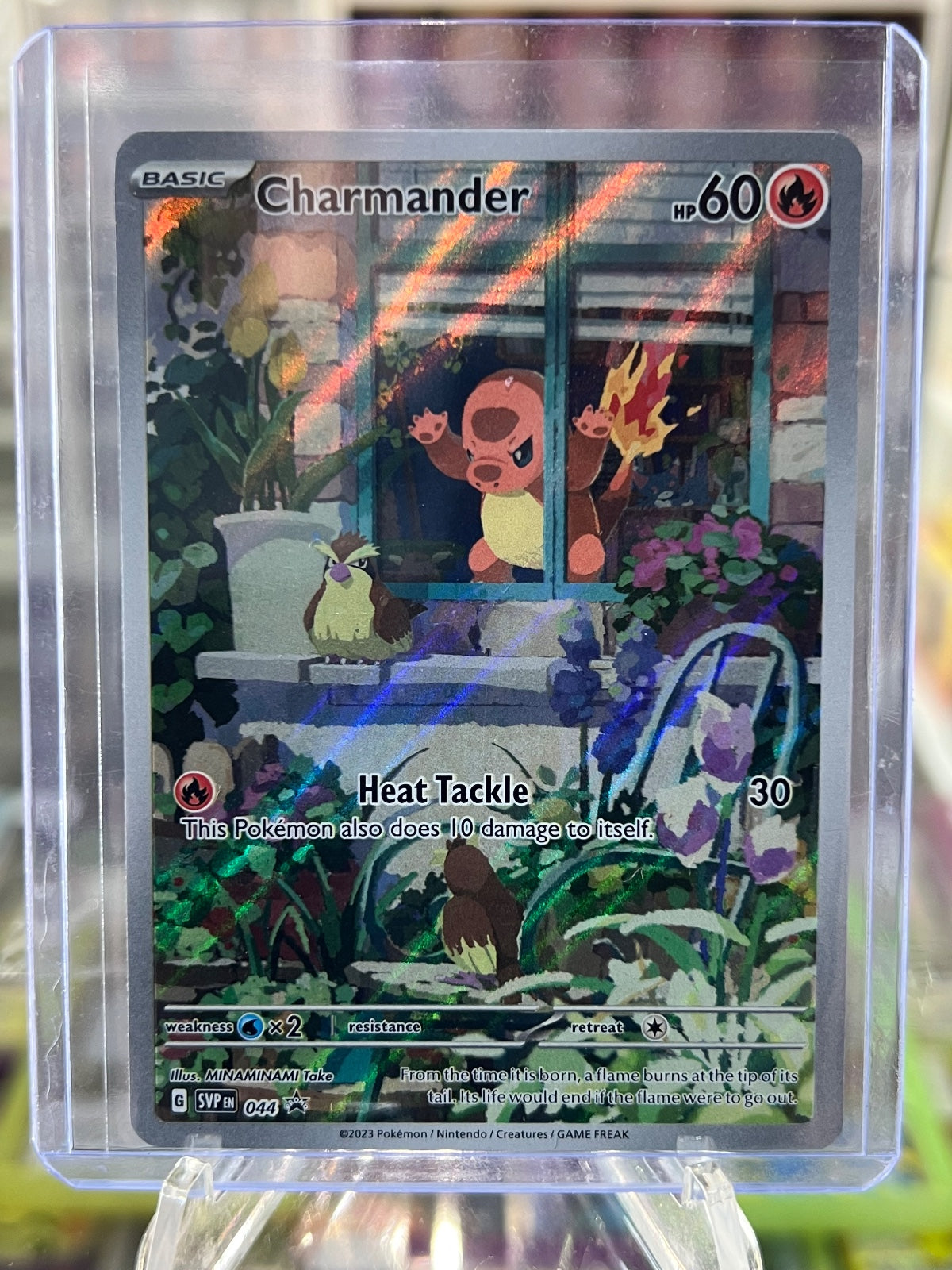Charmander Holo Promo SV: Scarlet & Violet Promo Cards 044 NM