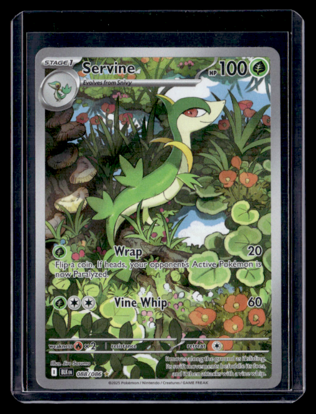 Servine Holo Illustration Rare SV Black Bolt 088/086 NM